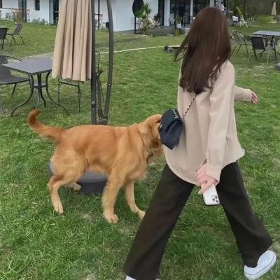 警察故事3:超级警察